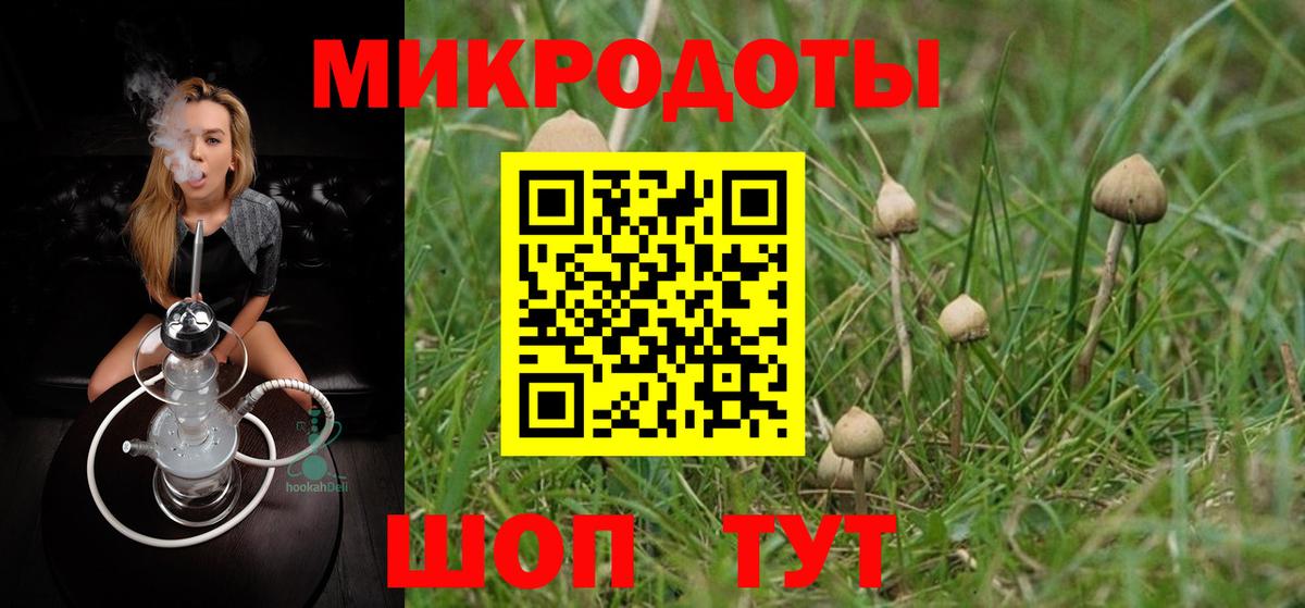 Фурманов  Галлюциногенные грибы мухоморы  Вход с VPN 