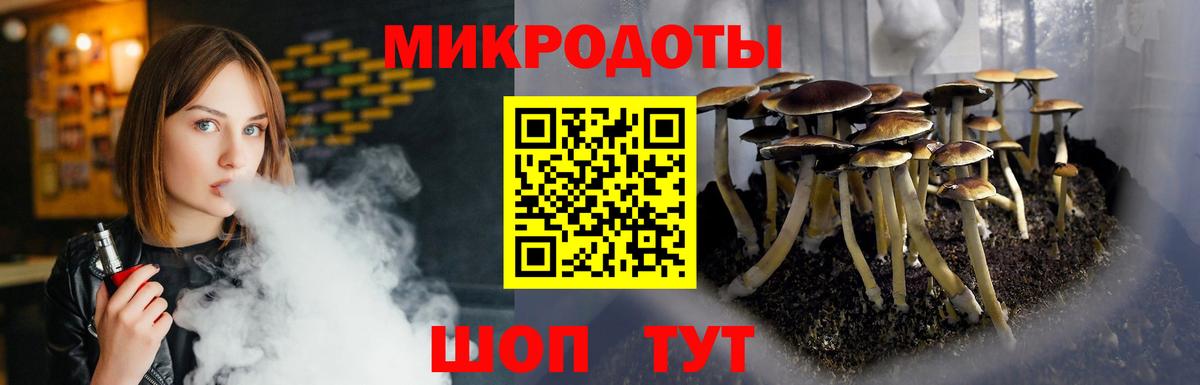 Псилоцибиновые грибы GOLDEN TEACHER Фурманов